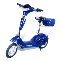 E Scooter 24 Volt 250 Watt